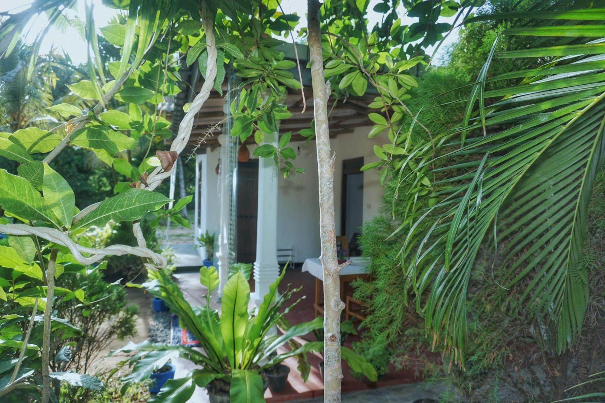 Sashini Homestay Sigiriya Exteriör bild